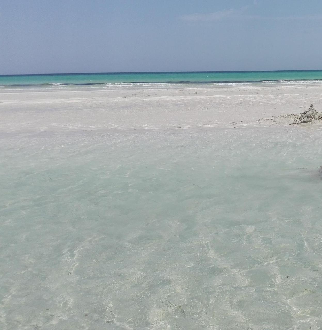 Appartement Marina Djerba *